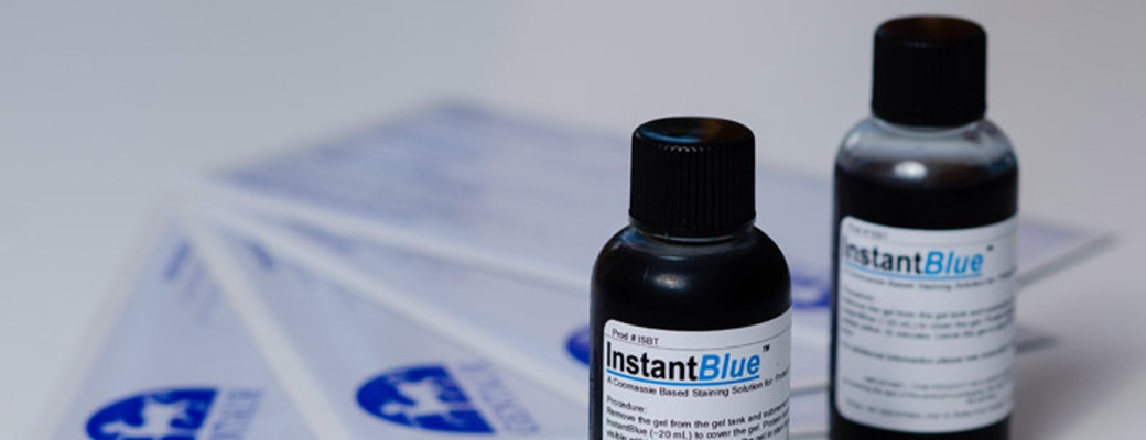 InstantBlue Protein Gel Stain